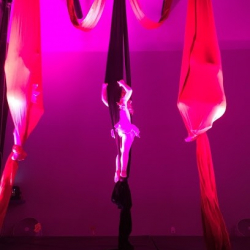 Danza Capital