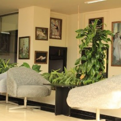 Moves Dance Studio