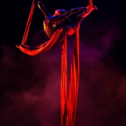 Elite Aerial Arts