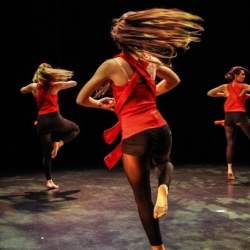 Entrechat Danse