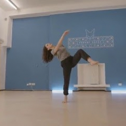 Fennec Danza asd