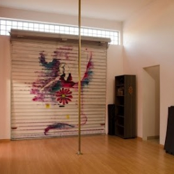 Ginger Pole Studio