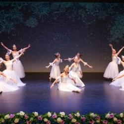 Maximo Dance Studio