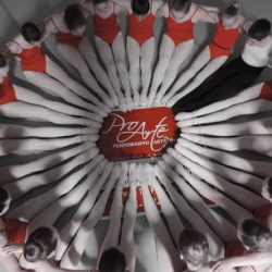 Pro Arte Centre