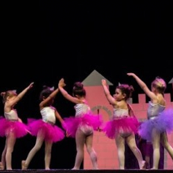 RISE Dance Co.