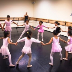Shin Dance Academy
