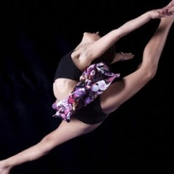 The Dance Company