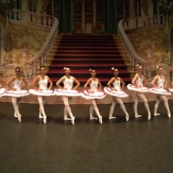 Academy of Arts Inc