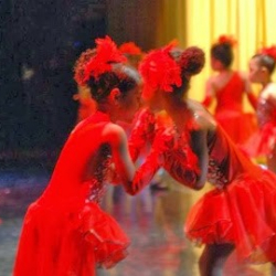 Bronx Dance Theatre