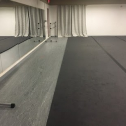 Apex Dance Industry