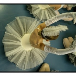 Art And Movement
