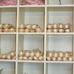 Ballerina Boutique