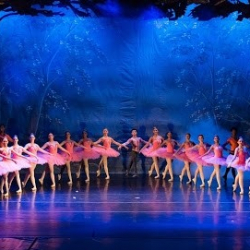 Ballet Educart