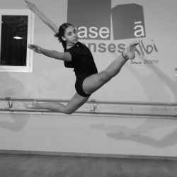 Case Ā Danses