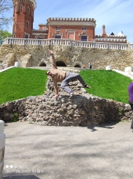 IMG_20210506_124045