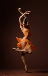 Image__47.jpg